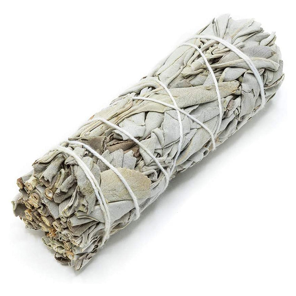 Abalone Shell Smudging Kit with White Sage Bundle and Cleansing Feather